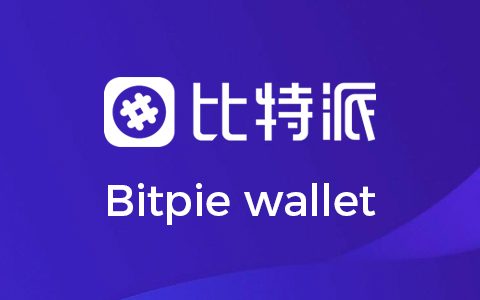 比特派钱包app的用户支持如何？是否提供24/7客户服务？